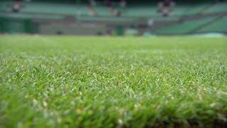 Wimbledon grass prepped for tennis season