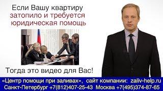 Юрист (адвокат) по заливу квартир. Консультации. Ведение дел в суде по заливу квартиры.