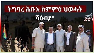 14 June 2024 " ትግባረ ሕቡእ ስምምዕ ህወሓት ሻዕብያ"