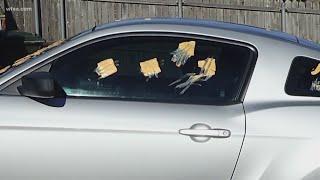 Prankster strikes vehicles in Carrollton with slices of cheese