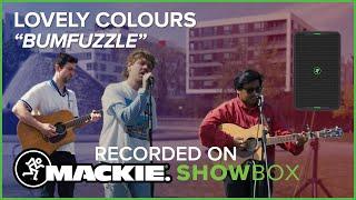 ShowBox Sessions: Lovely Colours