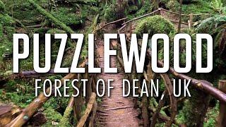 Puzzlewood, Forest of Dean | Walkthrough | Café | Farm