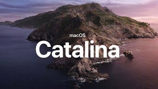 macOS Catalina on a Virtual Machine