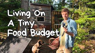 Saving Money With Self Sufficiency | My 3 Strategies for Low Cost Living On A Tiny Food Budget 