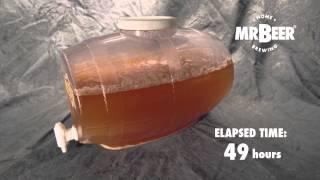 Mr.Beer - Fermentation - Time Lapse Video