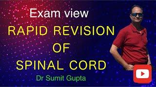 Spinal cord quick revision in Hindi