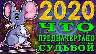 2020 ГОД БЕЛОЙ МЕТАЛЛИЧЕСКОЙ. Каким будет 2020 год? Год какого животного будет 2020 год?