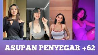 ASUPAN PENYEGAR +62 | JOGET TIKTOK