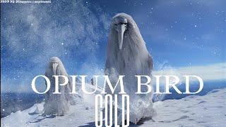 [FREE FOR PROFIT] Opium Bird type beat - "COLD" prod @yungvlonesmok