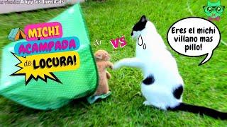 Una Loca Michi ACAMPADA + mis Gatos VS PAJARITOS!️ En un solo video!