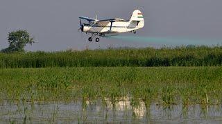 PZL-Mielec An-2 spraying rice field near Mezőtúr, Hungary