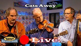 Cats Away - Live on The WDVX Blue Plate Special 12/09/2024