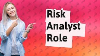 What is the role of a risk and compliance analyst?