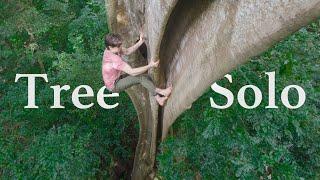 Climbing My Hardest Ever Tree Climb... Without Ropes