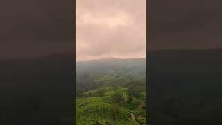 Munnar