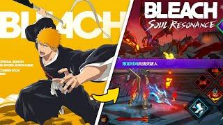 THIS GAME looks like Bleach: Soul Resonance (MADE BY THE SAME DEVS)