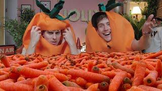 I Spent 6 Months Preparing a Carrot-Holiday