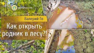 Как открыть родник в лесу?!