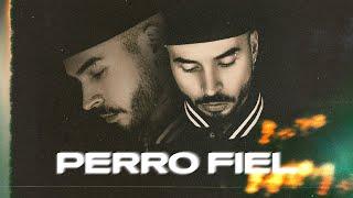 Perro Fiel - Reykon el Líder ®