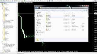 FX Synergy - Installing MT4 Files