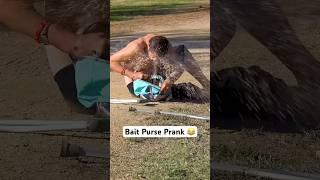 Bait Purse Prank  #Pranks #ViralVideos #JoeySalads