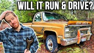 Our Abandoned Homestead Came with A Truck? (1983 Chevy K10)