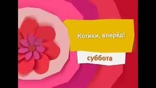 Красная весенняя заставка анонса на канале Карусель Котики вперёд весна (04.2016)