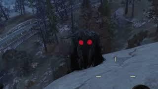 When You See a Mothman For The First Time