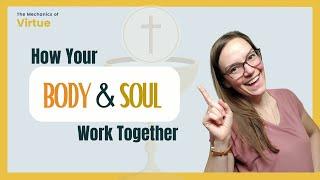 How does your BODY and your SOUL interact with eachother?