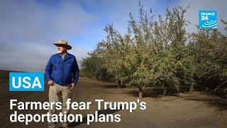 ‘Our farms will come to a stop’: US farmers fret over Trump's deportation plans • FRANCE 24