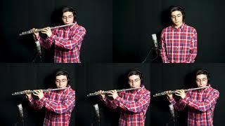 Married Life from Up by Michael Giacchino Flute Cover