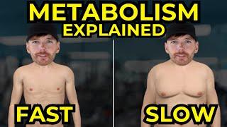 Do 'Slow Metabolisms' Exist? What Does The Science ACTUALLY Say?