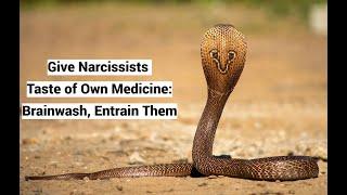 Give Narcissists Taste of Own Medicine: Brainwash, Entrain Them