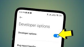 Developer Option Kaise Off Karte Hain | Disable Developer Mode For Running Application