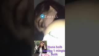 Zarina Yuldasheva Zapal videosi18+ #zapallar #zapal #tiktokvideo #tiktok #chingiz #asal OBUNA BOLING