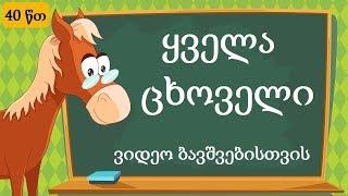 ვისწავლოთ ყველა ცხოველი ერთად {40წთ}/Viswavlot Yvela Cxoveli Ertad {40m}