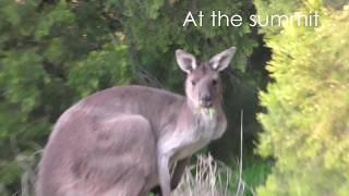 Sunset at Mt Lofty Summit & Mt Lofty Botanic Gardens - Adelaide Hills, South Australia