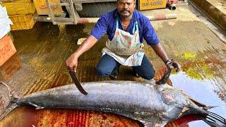 KASIMEDU  SPEED SELVAM | 120 KG KOLA FISH CUTTING VIDEO | IN KASIMEDU | FF CUTTING 