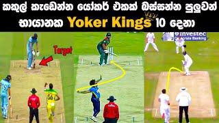 ක්‍රිකට් ලොව බිහි වුනු Yoker Kingsලා 10 දෙනා  Top 10 Yoker Kings in Cricket History