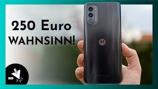 Motorola moto g52 - Das BESTE für unter 250 €? | Review (deutsch)