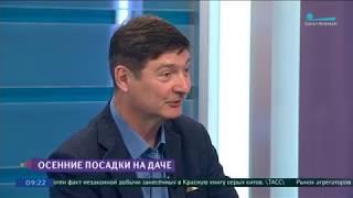 Дмитрий Баранов в программе «Хорошее утро»