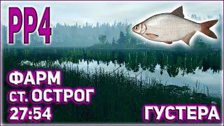 РР4 СТАРЫЙ ОСТРОГ ГУСТЕРА ФАРМ / РУССКАЯ РЫБАЛКА 4 ГУСТЕРА ФАРМ / RUSSIAN FISHING 4 SILVER BREAM