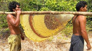 Primitive Technology: Harvest Beehive and Honey by Brave Bushmen