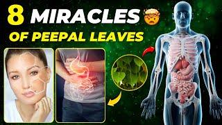 Shockingly Powerful Health Benefits of Peepal Leaf (OMG!)