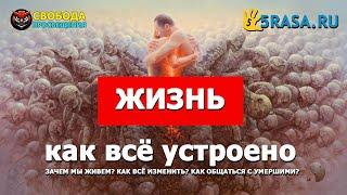 Как устроена жизнь. Зачем живем. Как общаться с умершими.