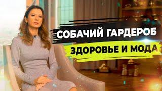 Как правильно выбрать одежду для собаки? Сколько нужно гулять с собакой?