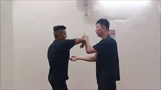 Wing Chun Training 1 (20 Dec 24)