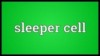 Sleeper cell Meaning