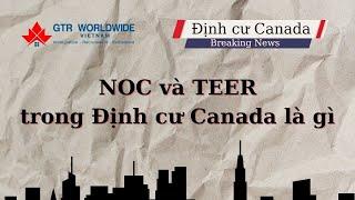 NOC và TEER trong Định cư Canada là như thế nào?