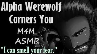 [M4M] Werewolf Alpha Corners You (ASMR), (M4M ASMR), (WEREWOLF ASMR)